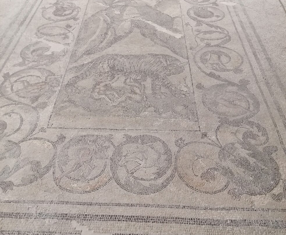 Museo Civico di Larino-Larino必去景点