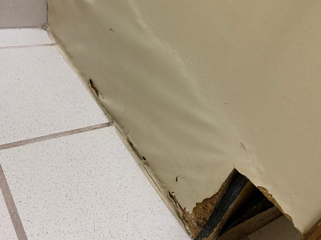 锡拉丘兹机场烛木套房酒店主图