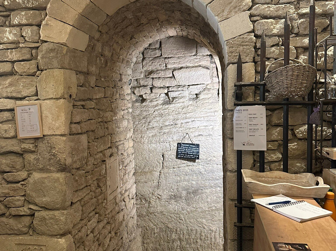 Caves du Palais Saint Firmin-戈尔德必去景点