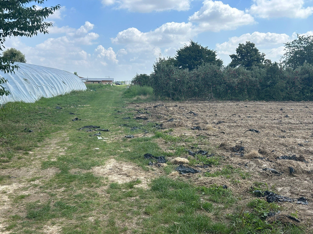 Cueillette de Servigny-Lieusaint必去景点