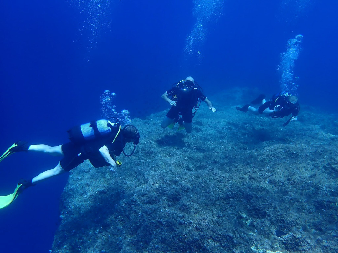 Dwejra Divers-圣劳伦斯必去景点