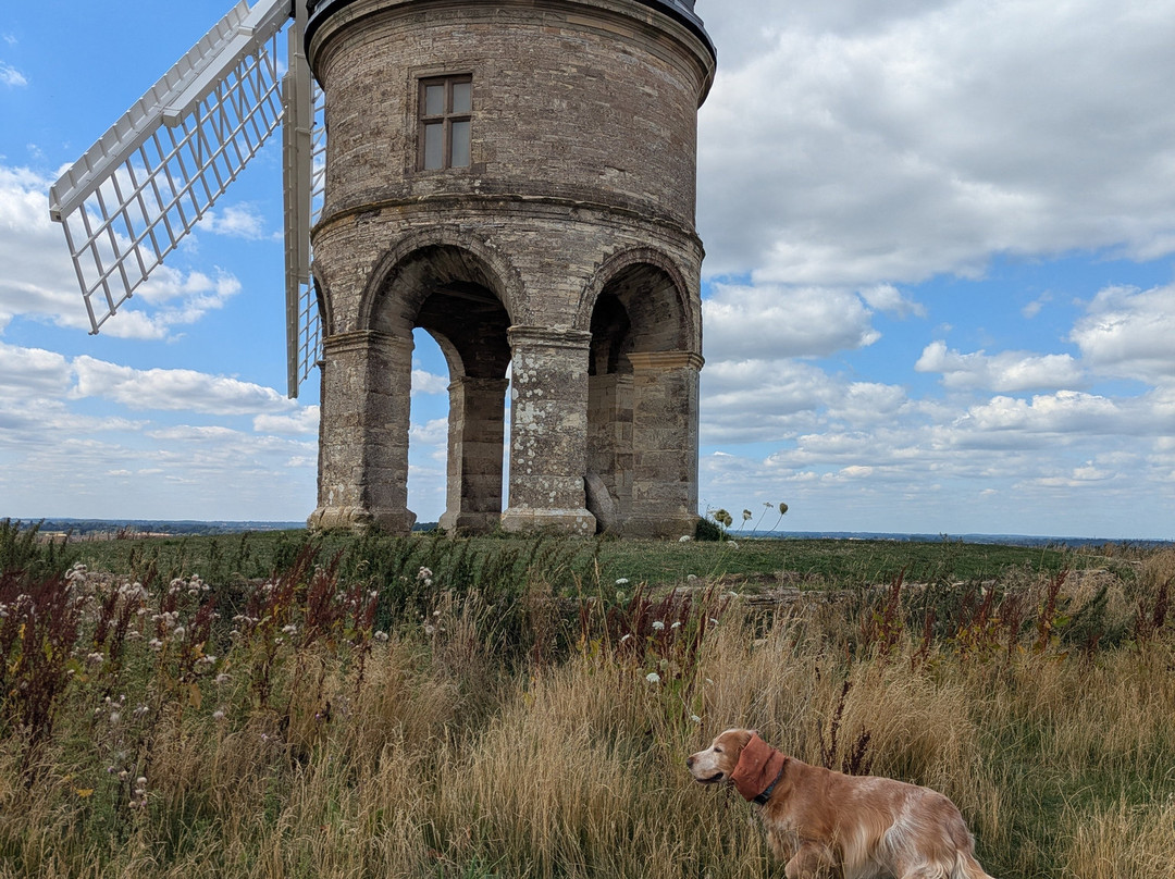 Chesterton Windmill-皇家利明顿温泉必去景点