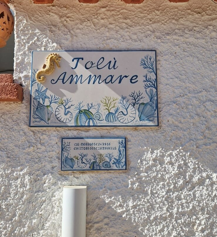 Toluammare