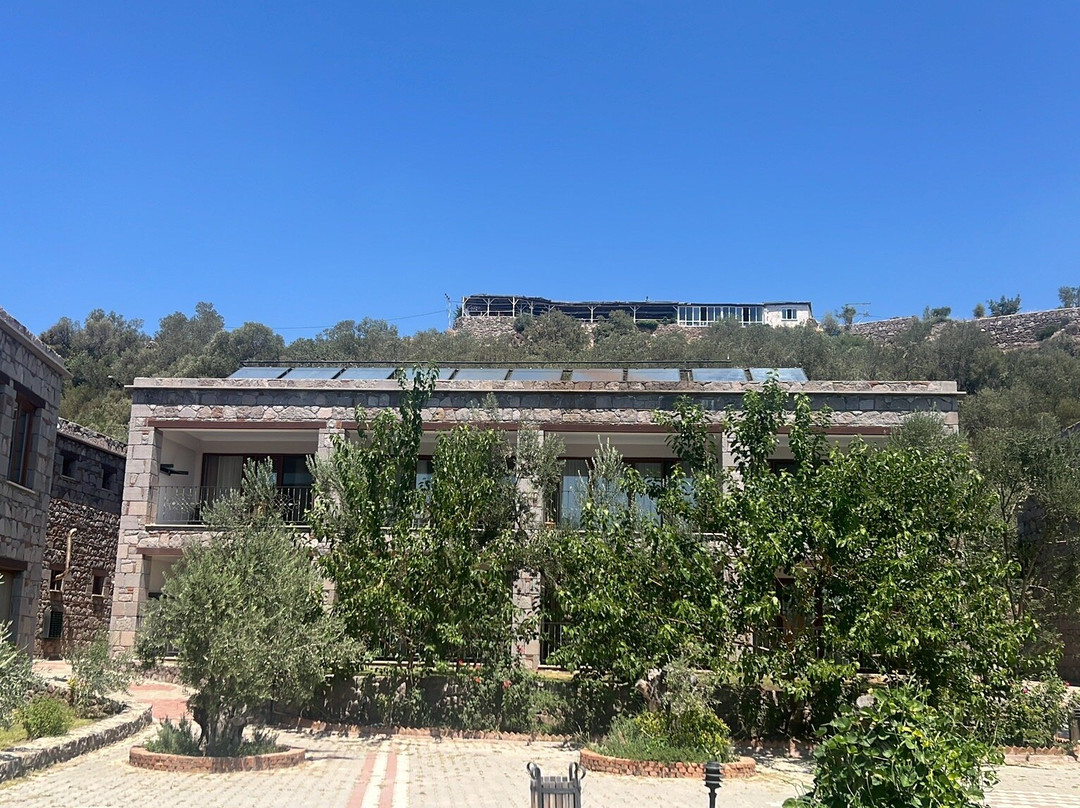 Assos Hestia Otel主图