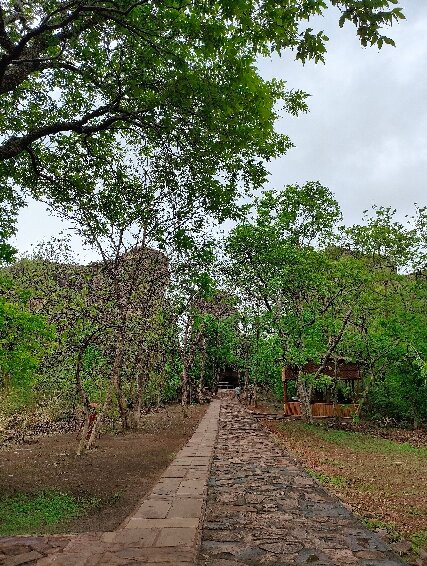 Bhimbetka Caves-Raisen必去景点