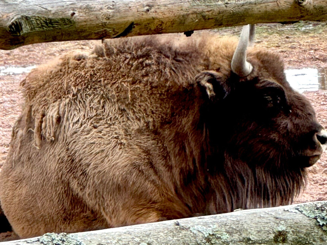 Avesta Visentpark-Avesta必去景点