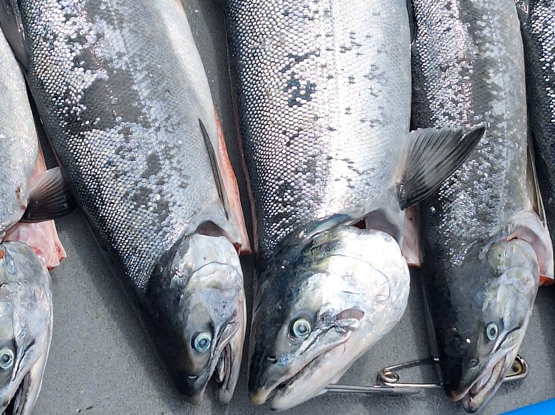 Tornado Fishing Charters-Westport必去景点