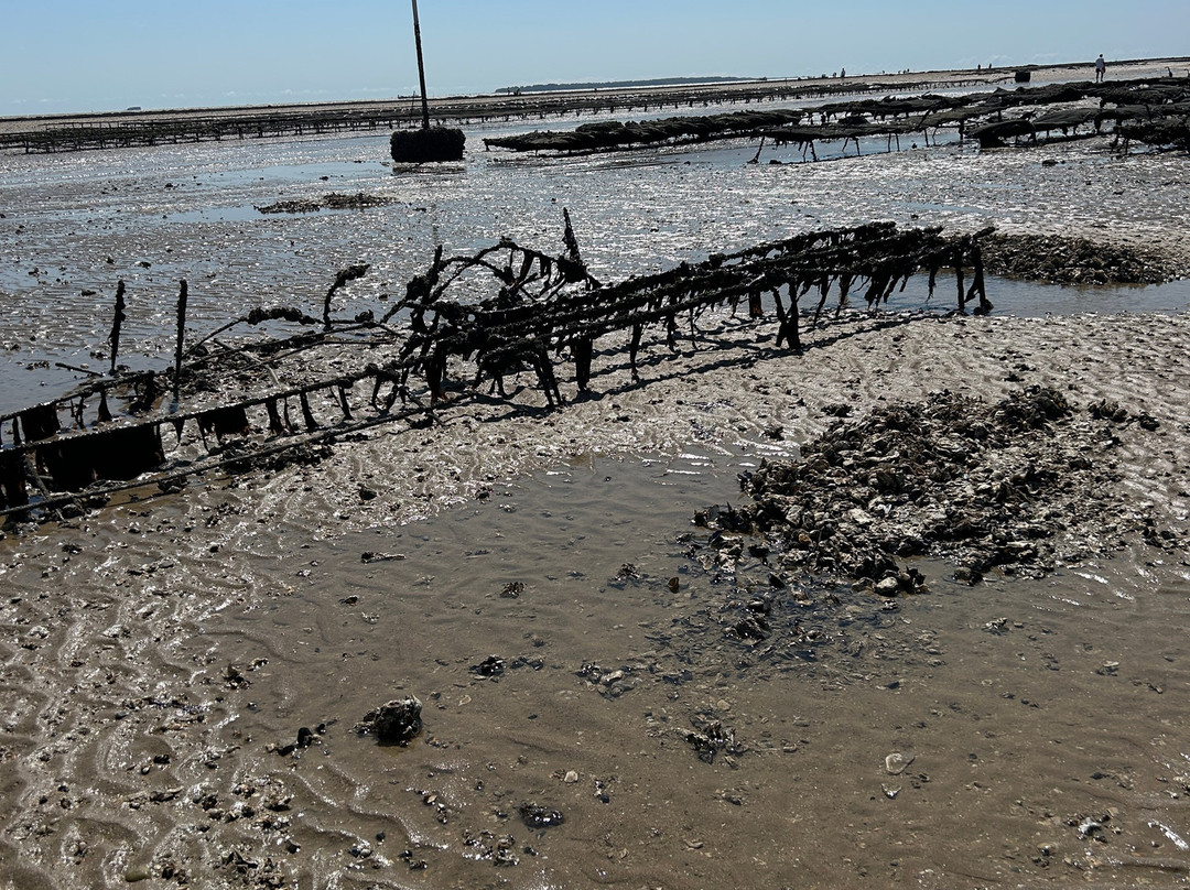 Plage de Châtelaillon-Chatelaillon-Plage必去景点