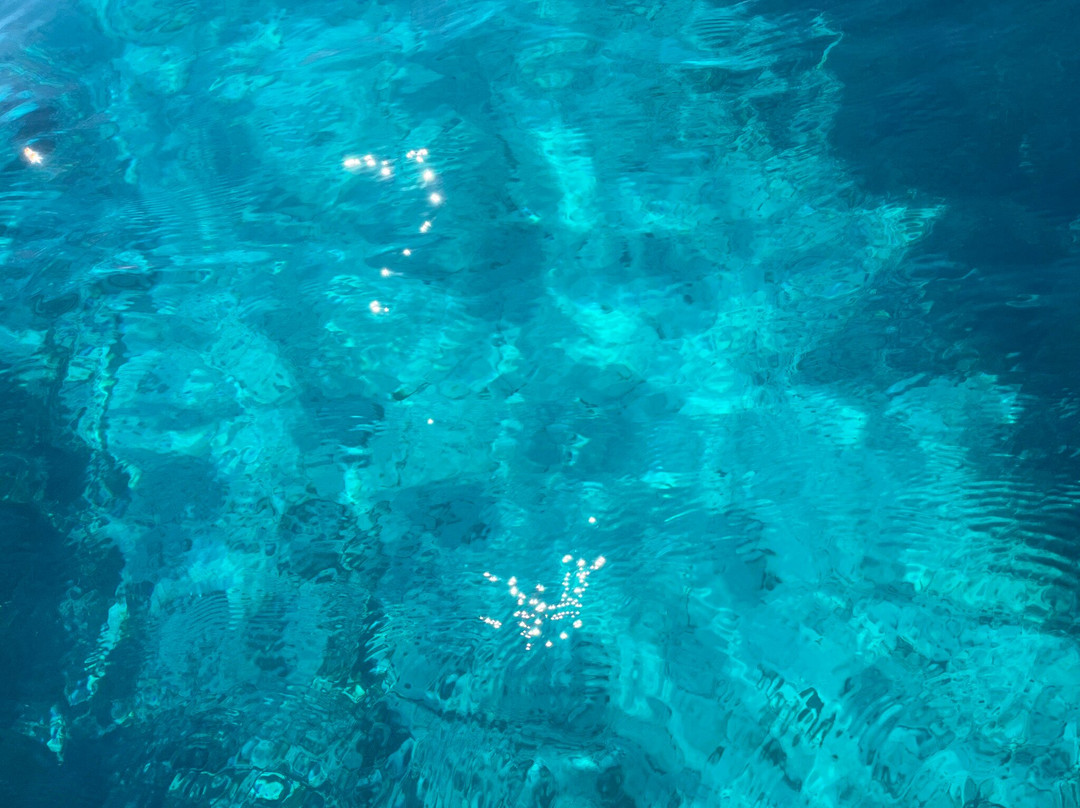 DST- Diving & Snorkelling Team Sardegna-Golfo Aranci必去景点