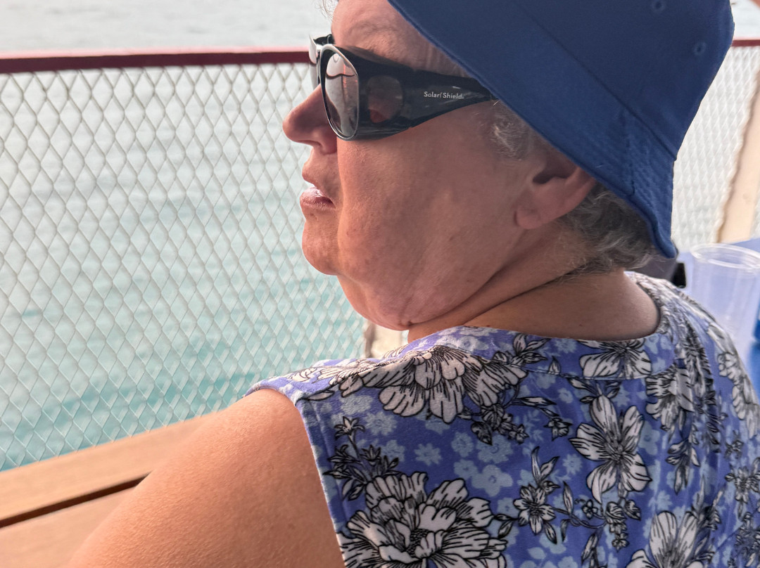 Duc d'Orleans II Cruise Boat - Day Tours-Sarnia必去景点