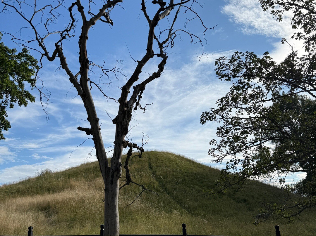 Gamla Uppsala Museum-Gamla Uppsala必去景点