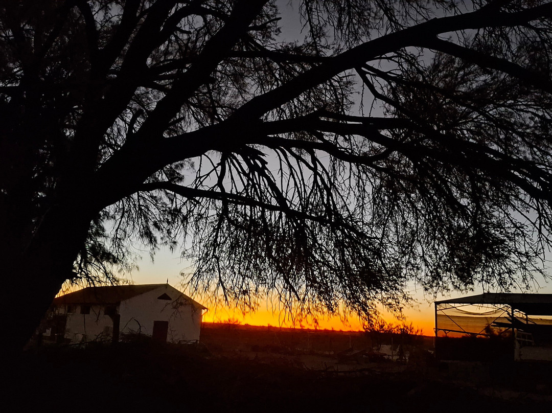 Burgsdorf Guest Farm主图