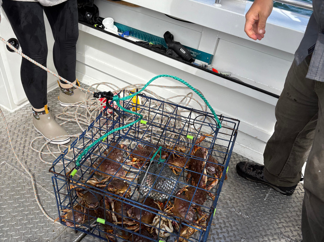 Baranof Fishing Excursions-凯奇坎必去景点