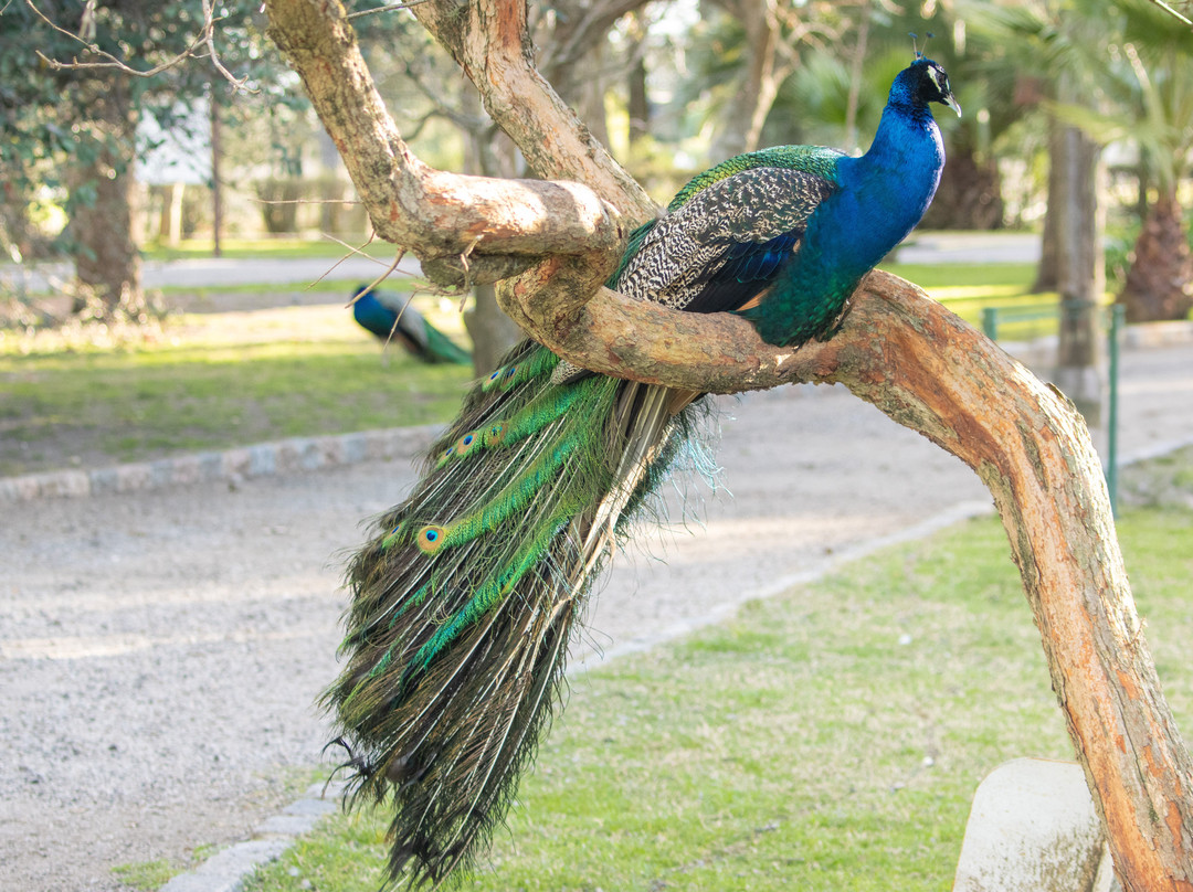 Parque natural de flora y fauna Dr. Talice-Trinidad必去景点