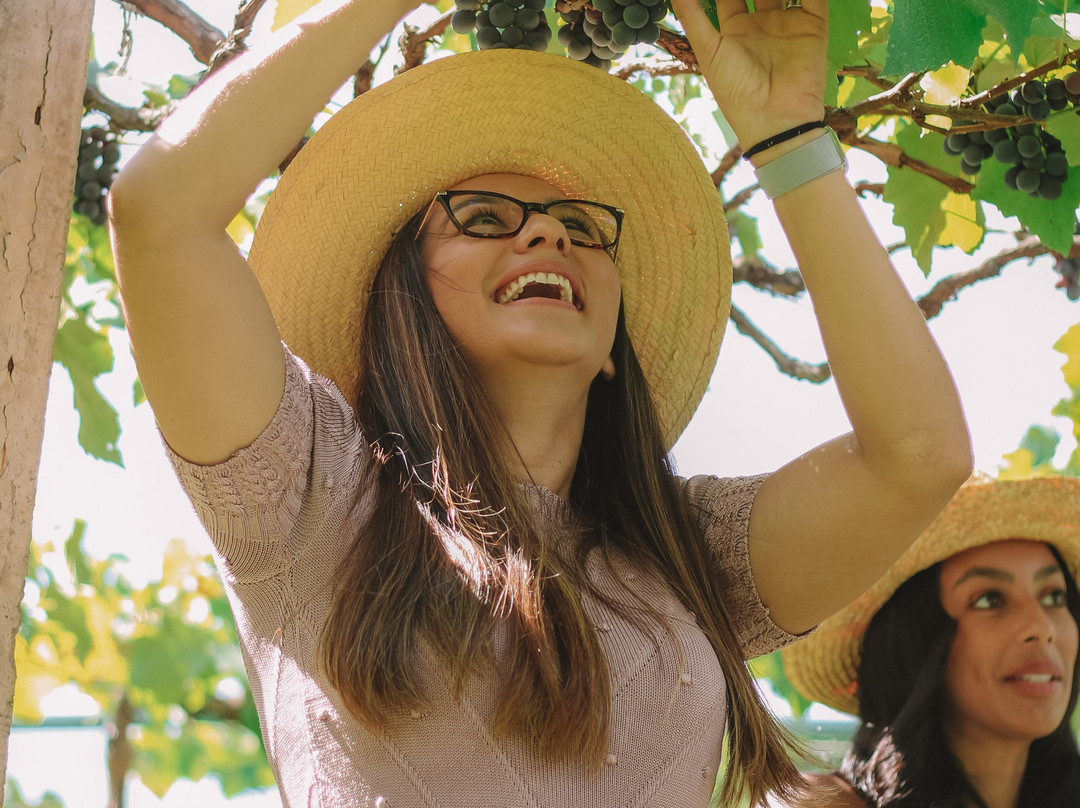 Vinhedo Lacustre-Lago Norte必去景点