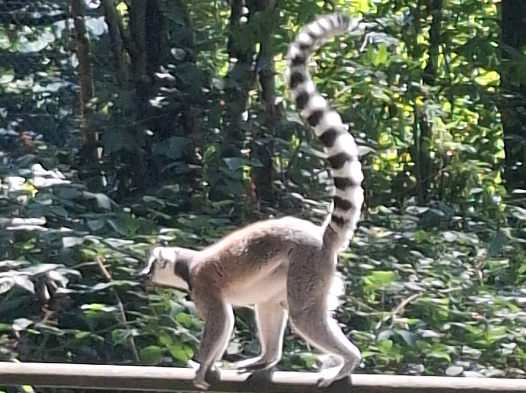 Tier-Erlebnispark Bell-Bell必去景点