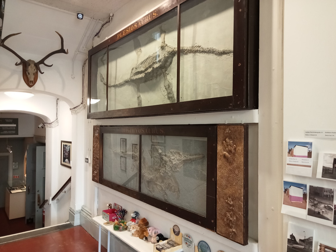 Swansea Museum-斯温西必去景点