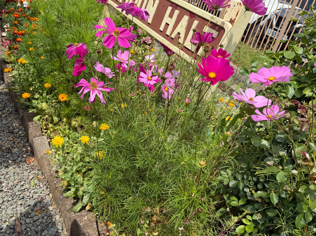 Transport Museum Wythall-Wythall必去景点