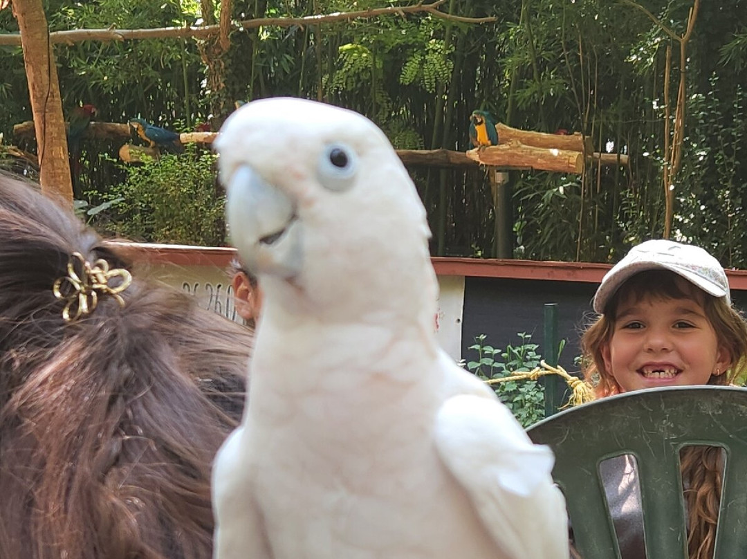 Le Parc des Perroquets-Bren必去景点