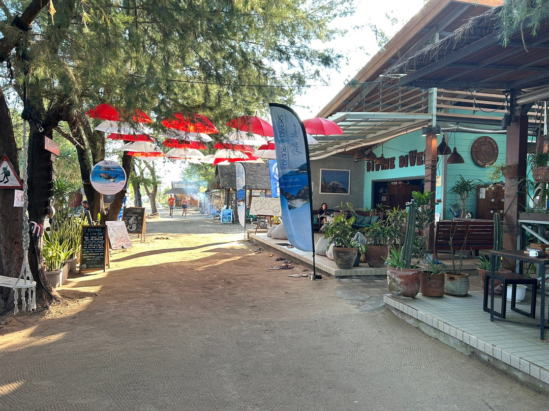 Divine Divers-Gili Meno必去景点