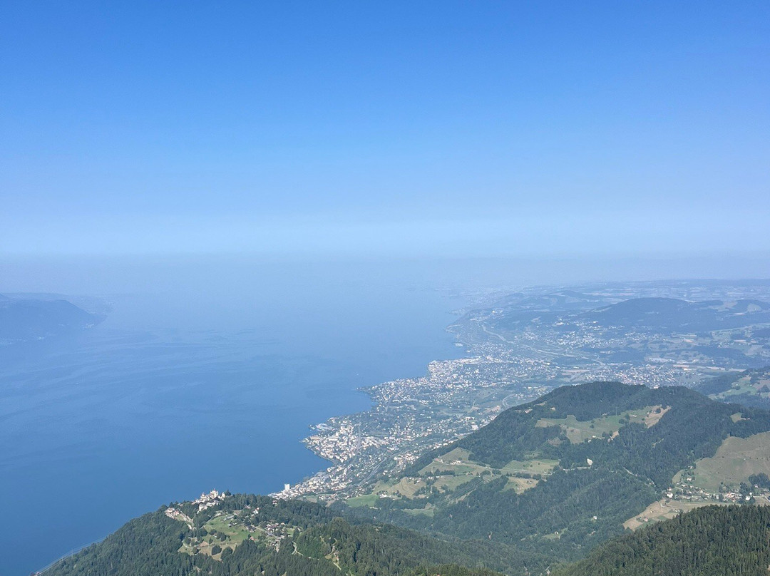 Train à crémaillère Montreux - Rochers-de-Naye-蒙特勒必去景点