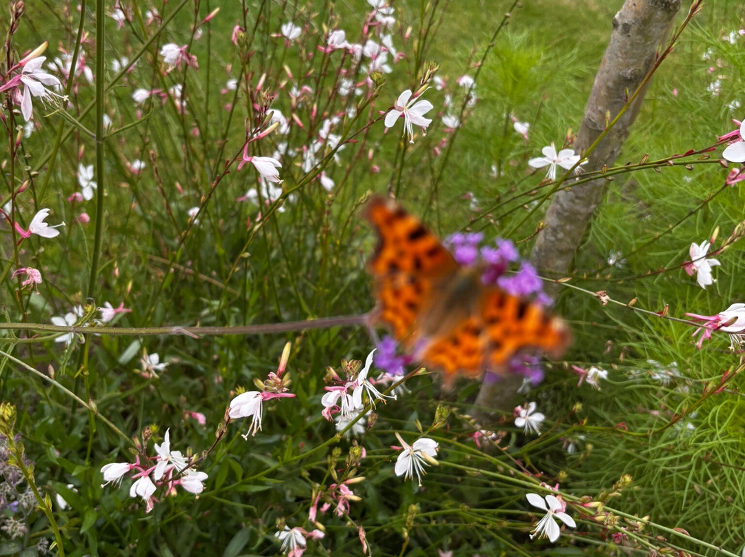 The Old Kent Barn主图