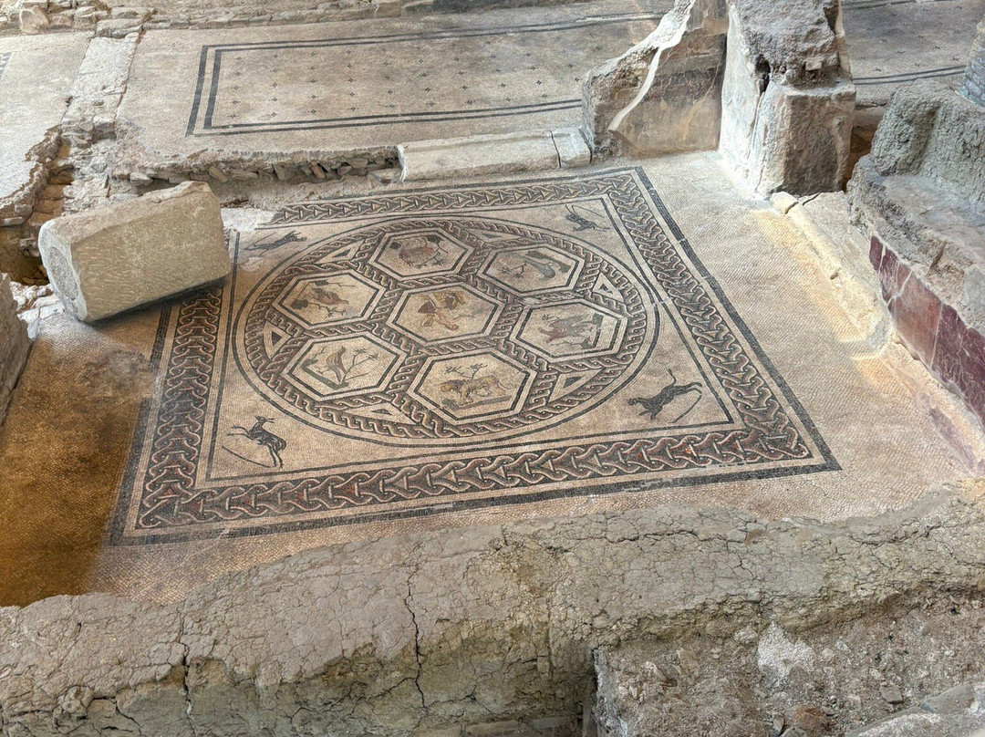 Domus del Chirurgo-里米尼必去景点
