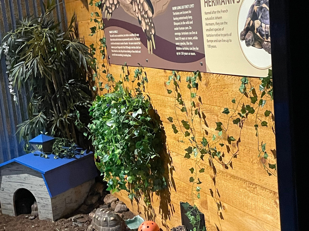 Living Shores Aquarium-Glen必去景点