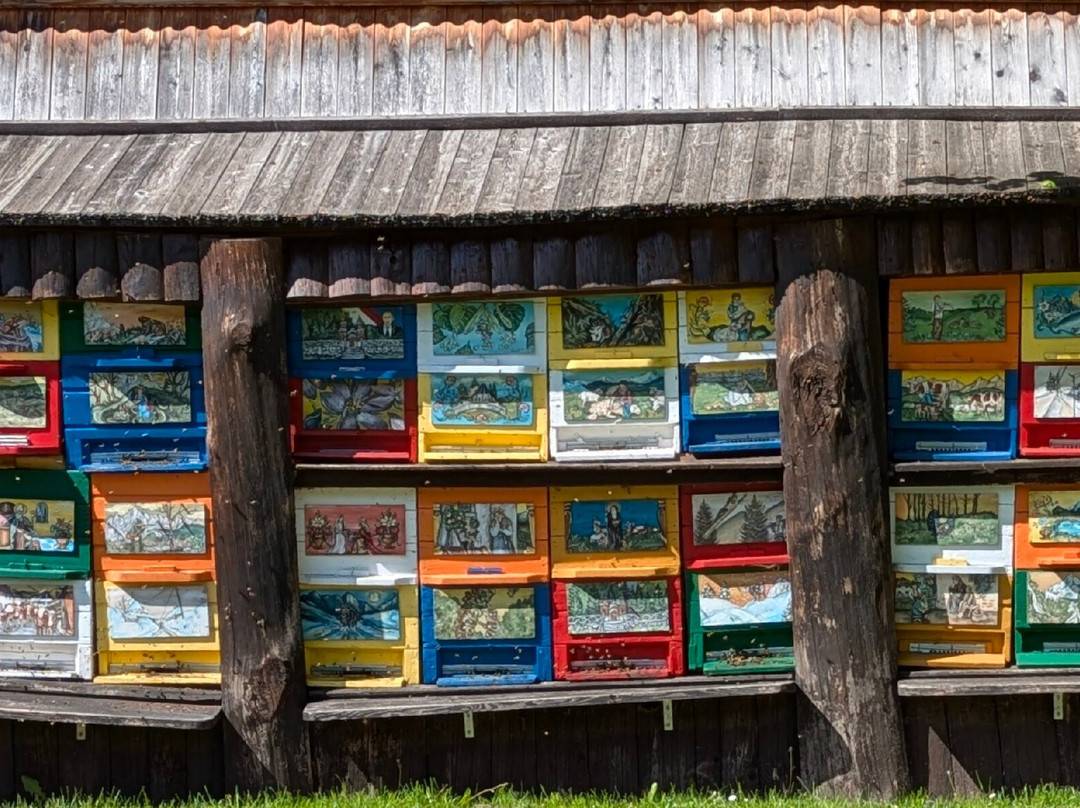 Bee-Toni-Ratece必去景点