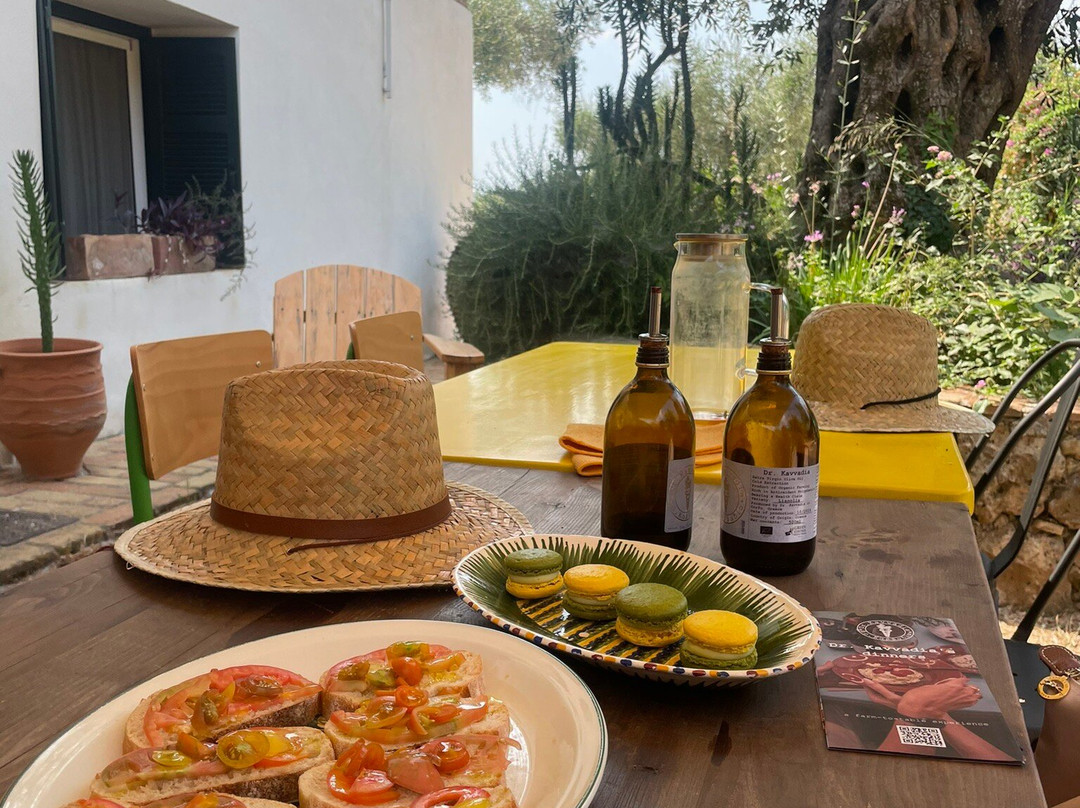 Dr. Kavvadia's Organic Farm-Tzavros必去景点