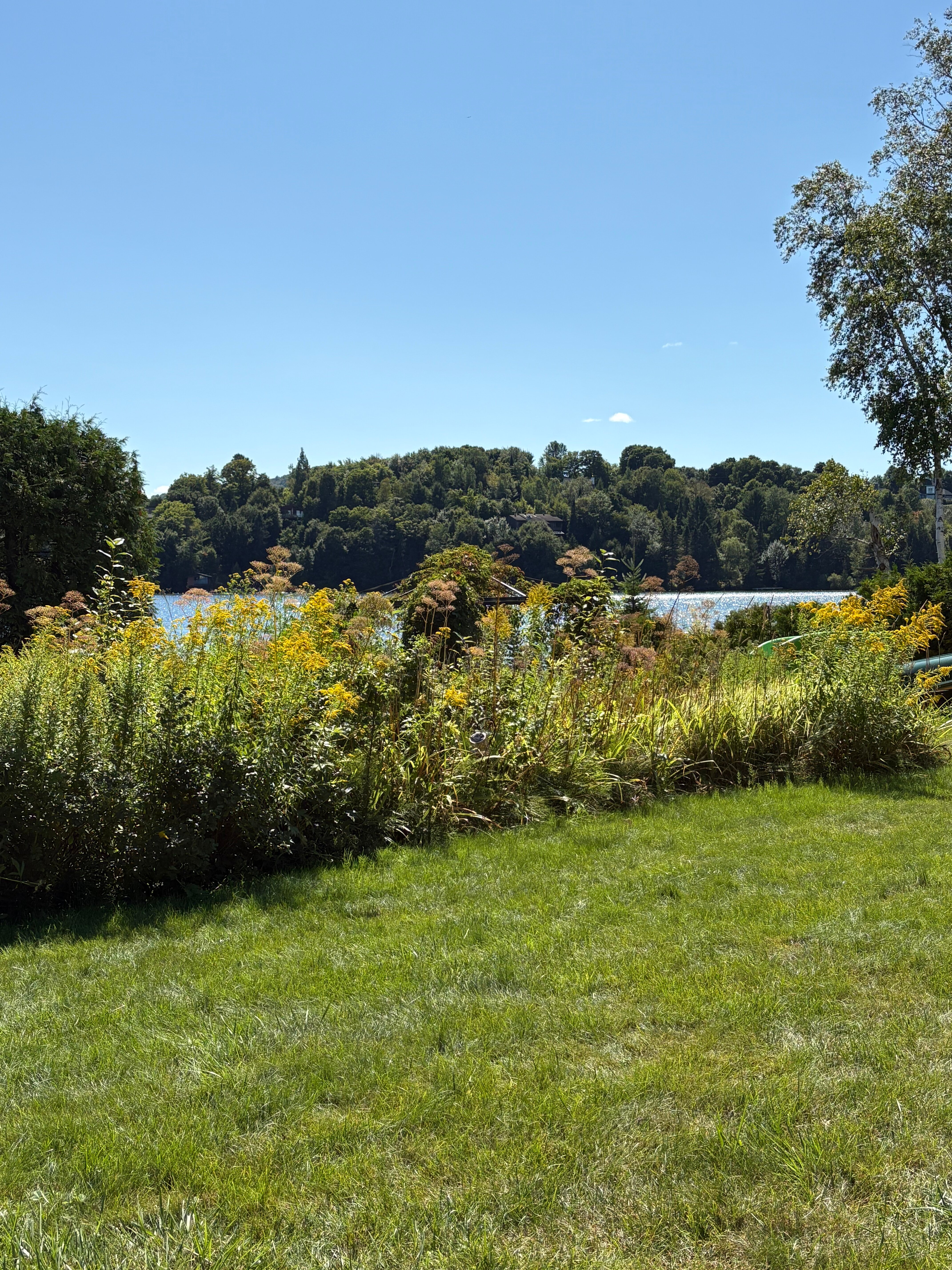 Auberge aux Nuits de Reve-官方