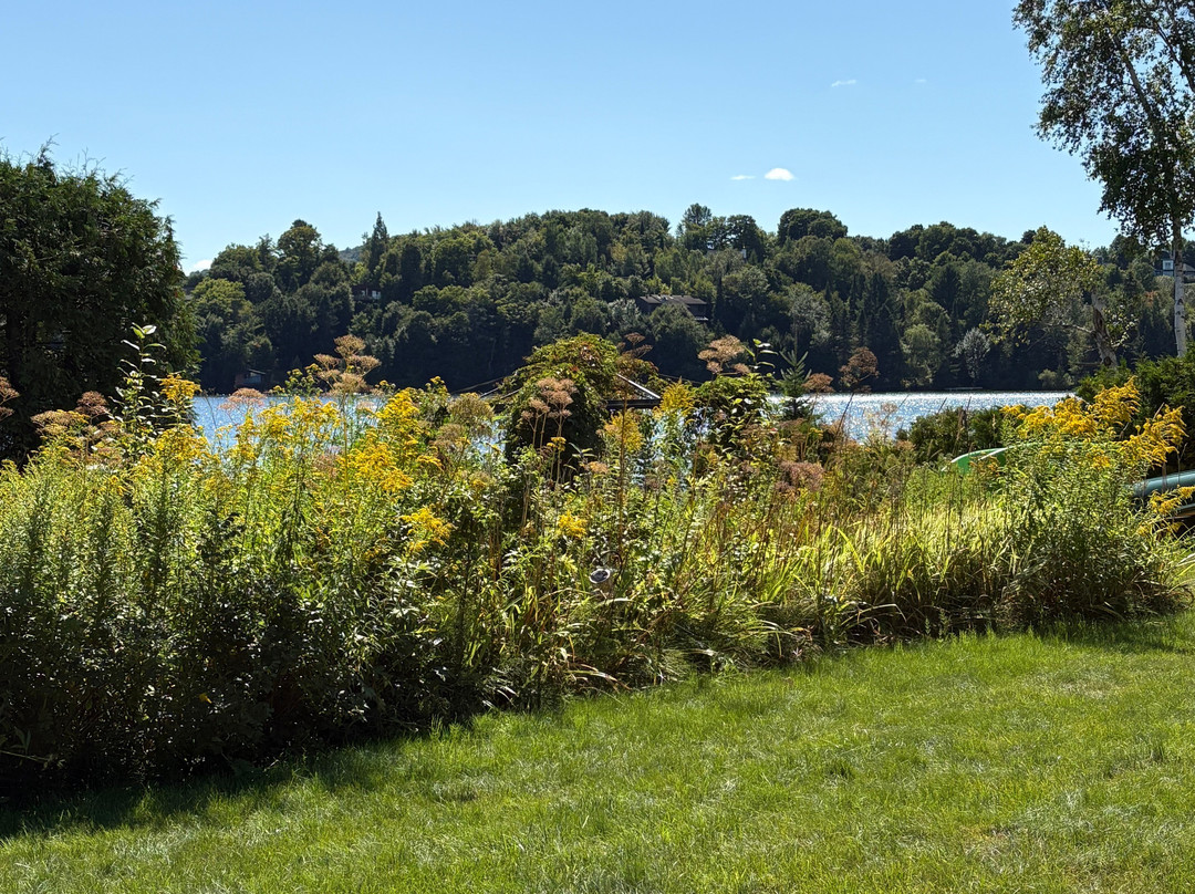 Auberge aux Nuits de Reve主图