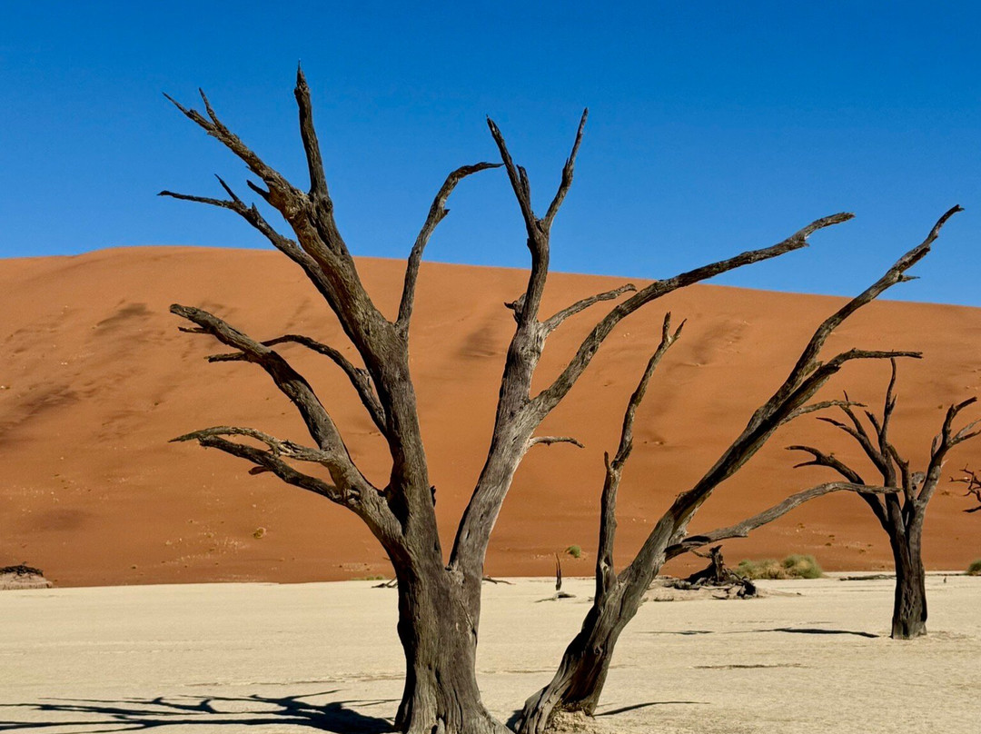 Nature Travel Namibia-温德和克必去景点