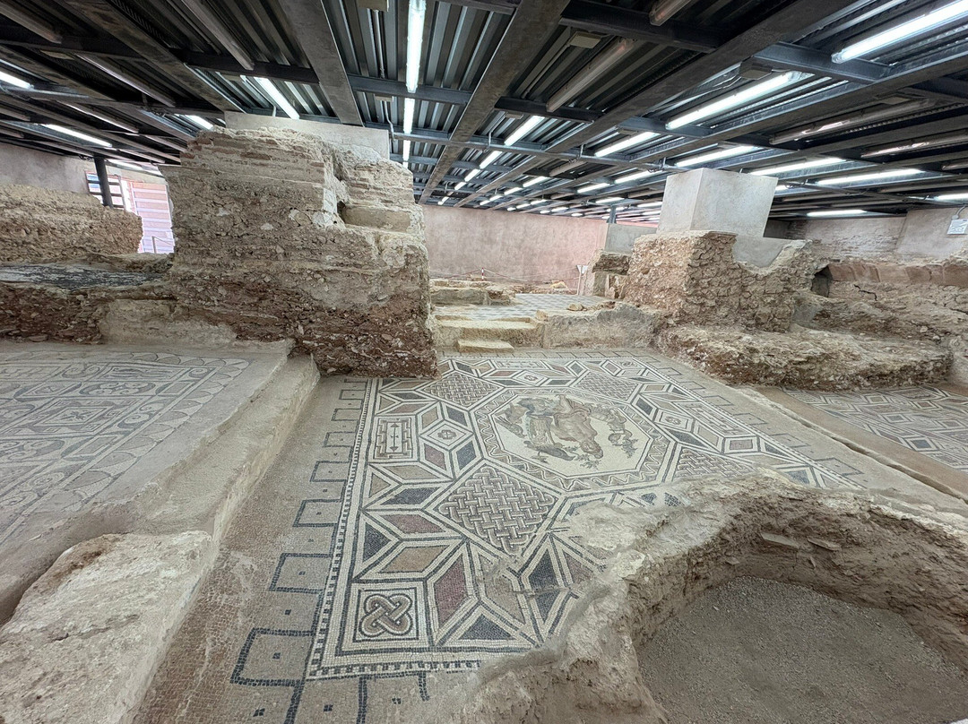 Museo Archeologico Nazionale Antiquarium Turritano-Porto Torres必去景点