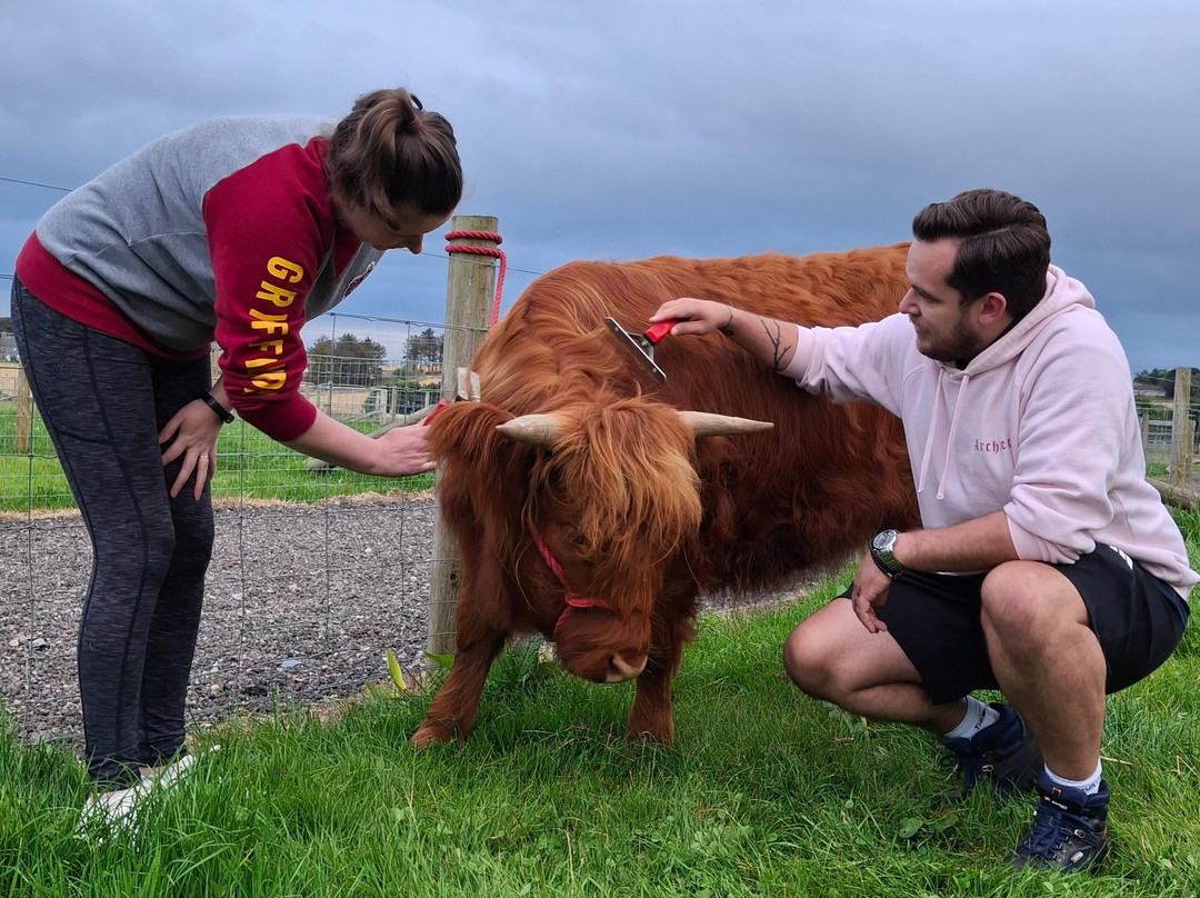 Farm Stop
