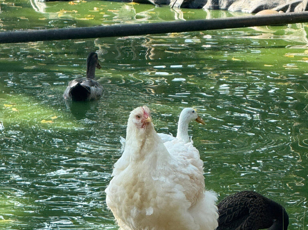 Les Chambres Du Parc主图