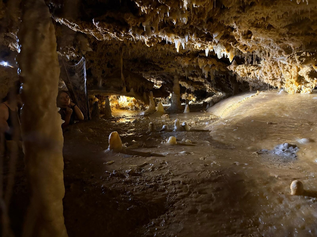 Les Eyzies-de-Tayac-Sireuil旅游景点-Grotte du Grand Roc