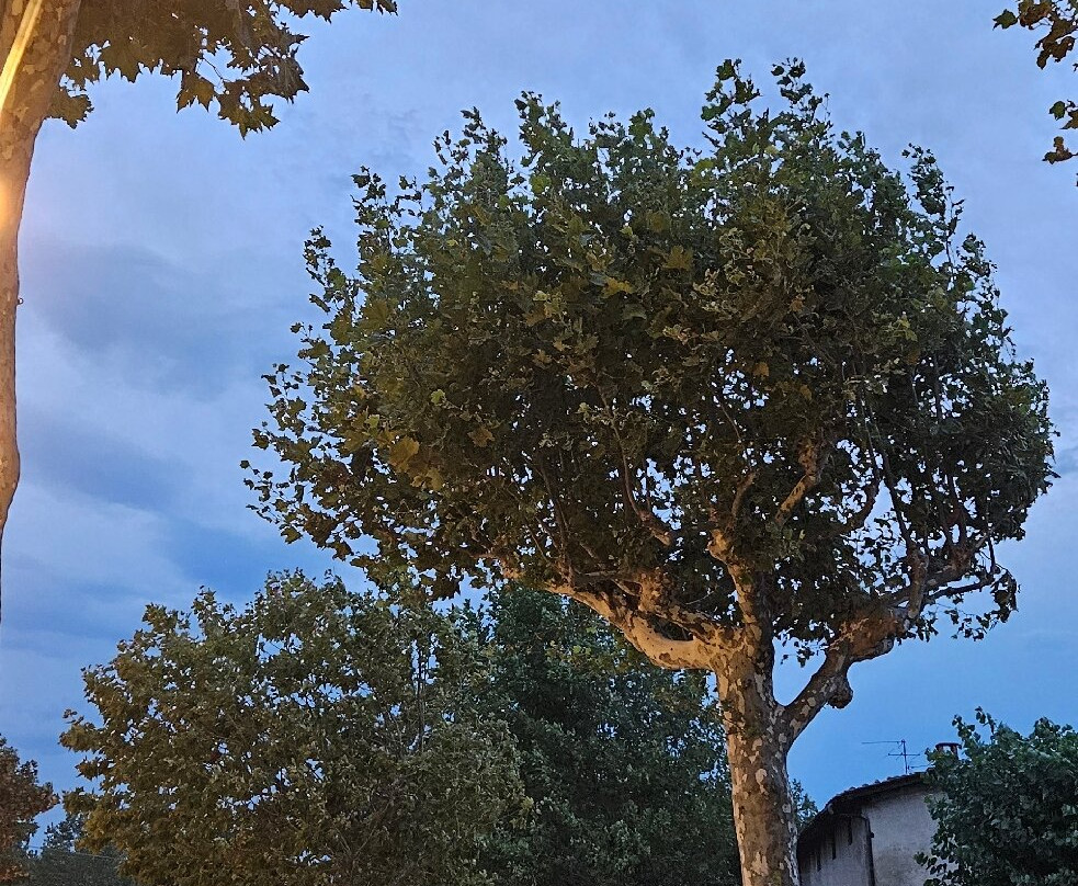 Il Lido Iseo-伊塞奥必去景点