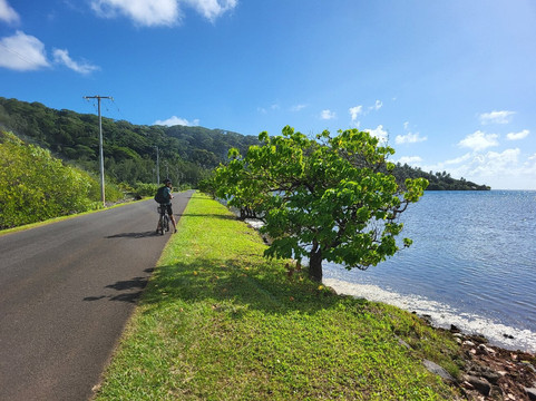 Tahaa Eco Tour-塔哈岛必去景点
