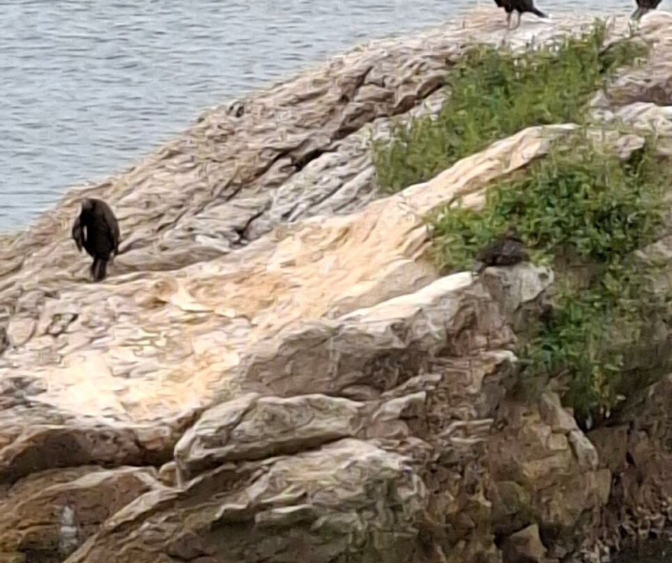 Sentiero Rilke-Duino必去景点