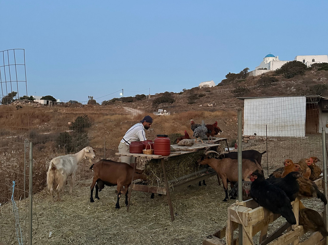 Anthi Farm Sifnos-Apollonia必去景点