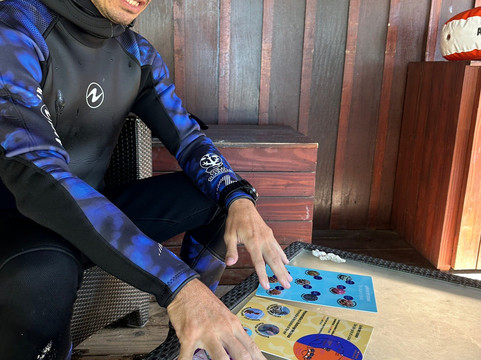 Hello Reef Tahiti-马哈雷帕必去景点