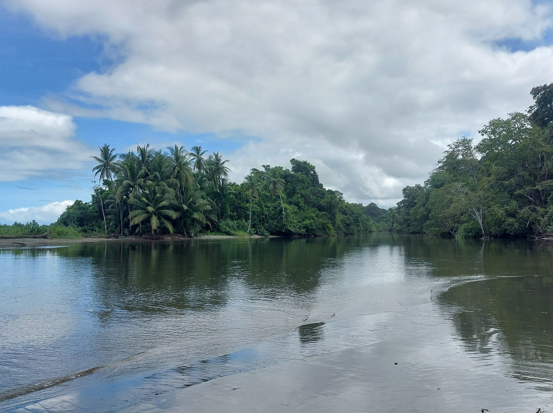 Corcovado Guia CR-希门尼斯港必去景点