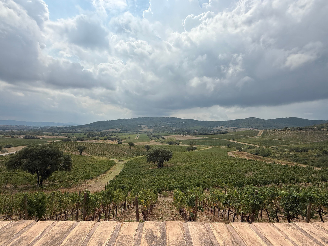 Cantina Rocca di Frassinello-格罗塞托必去景点