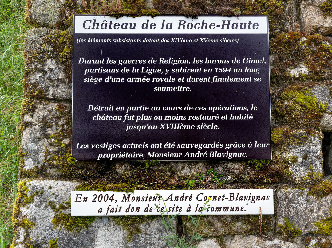 Ruines Château De La Roche Haute