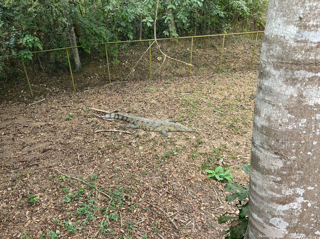 Hillary Nature Resort & Spa主图