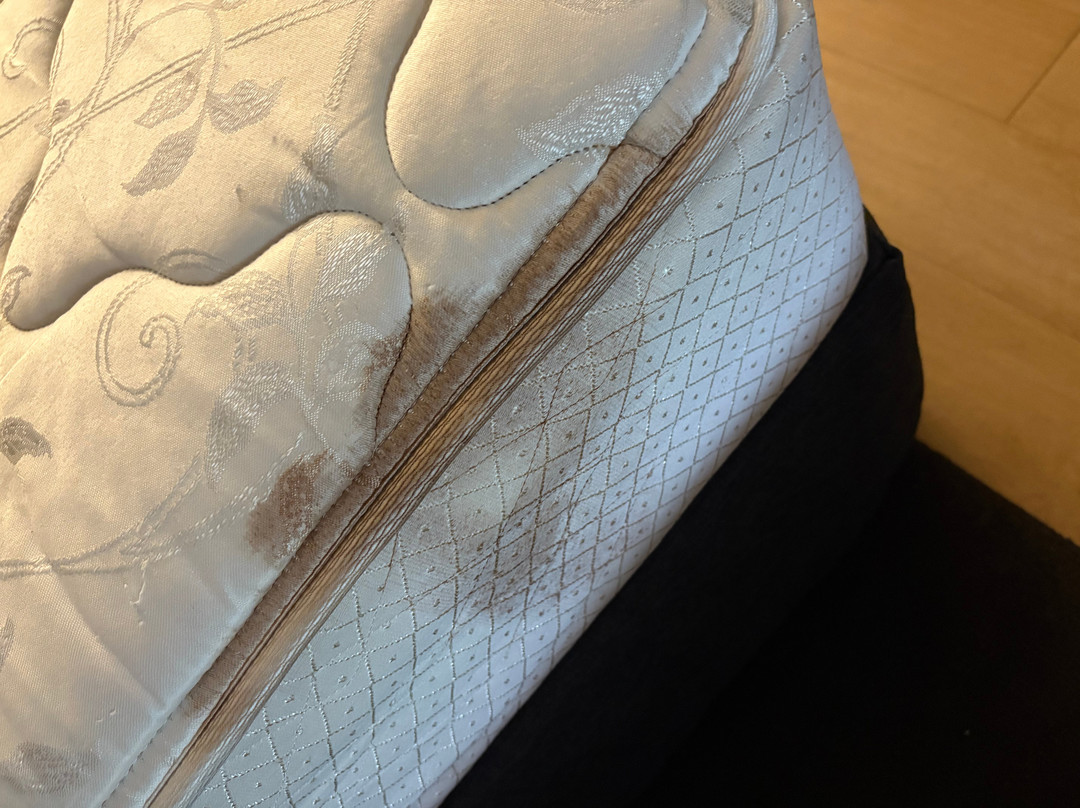 Red Roof Inn Detroit - Roseville/ St Clair Shores主图