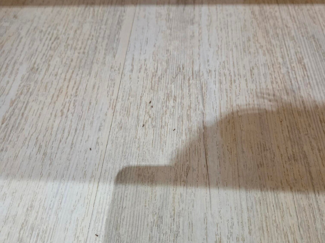 赛轮尼斯海景乡村俱乐部酒店主图