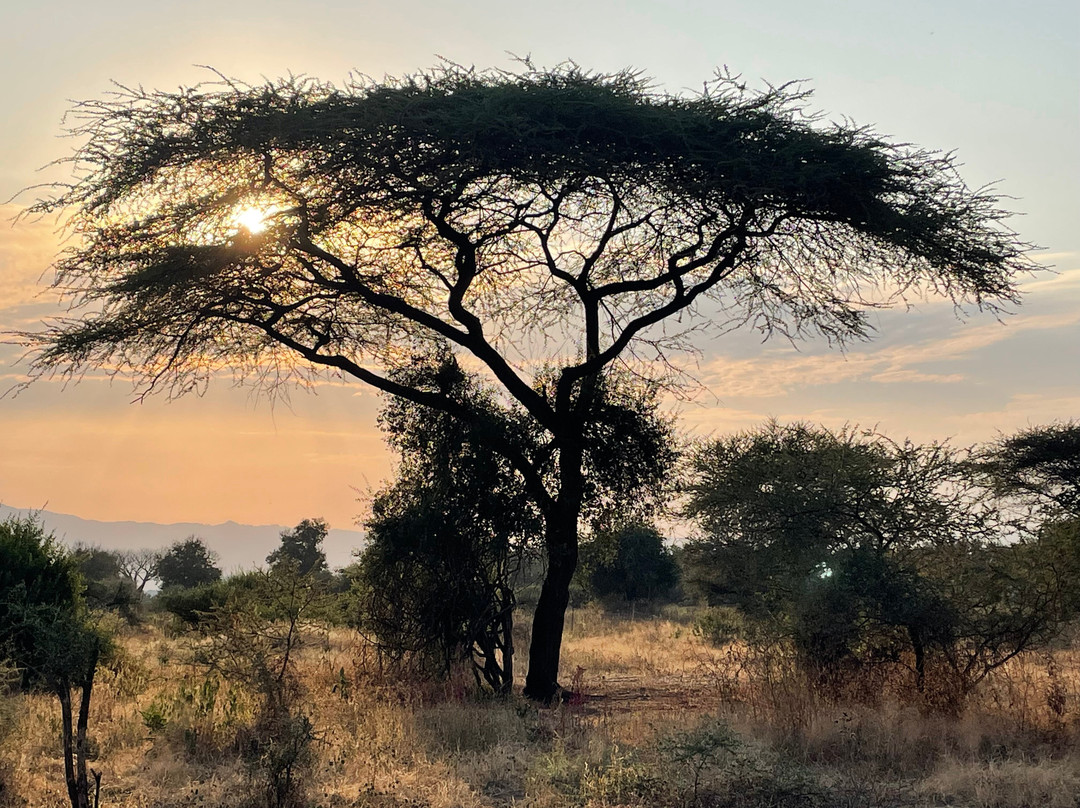 Ajabu Adventures Ltd - Day Tours-阿鲁沙必去景点