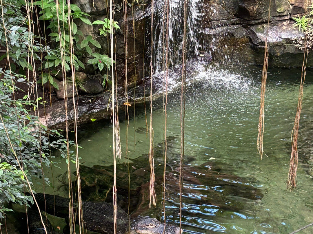 Randers Regnskov-兰讷斯必去景点